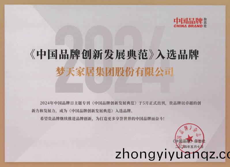 中國品牌(pai)創(chuang)新髮(fa)展典範TOP100（證書(shu)）